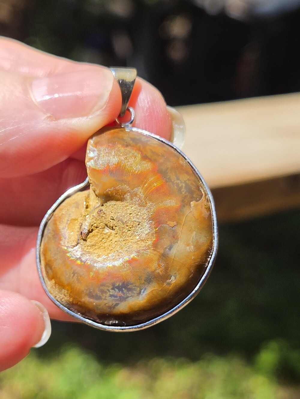 Opalized Ammonite Fossil Sterling Silver Pendant - Picture 7 of 8